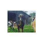 Goat Puzzle – High-Quality Jigsaw for Animal Lovers